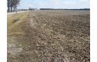 Property photo 13 - 127 Acres Offered in 4 Tracts